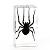 Crafts and arts insect specimen in resin block Pre school educational teaching resources Spider Specimen for Paperweight