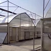 Long Life Span Simple Structure And Economic Type Multi Span Used Greenhouse Steel Structure
