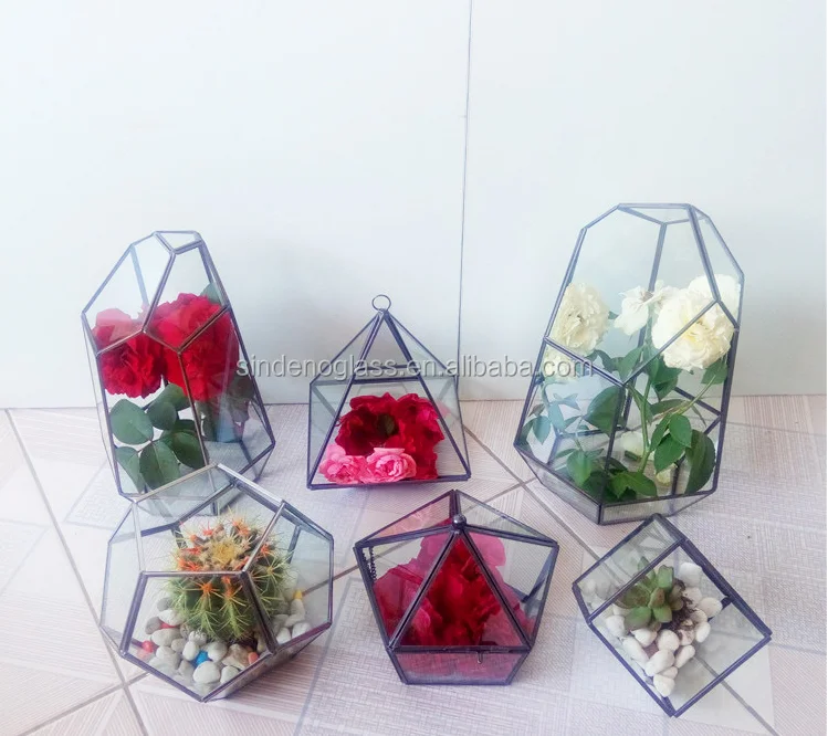 Home Decor Round Plant Clear Glass Egg Terrarium With Wooden Base Buy Glass Egg Terrarium