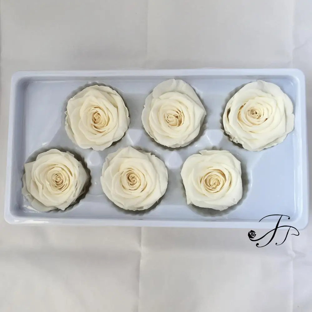 
Long lasting A grade 5-6 CM Ivory Real Preserved Flowers Roses Head for Home Decor 
