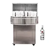 Semi-Automatic Bottle Washer for drink filling line