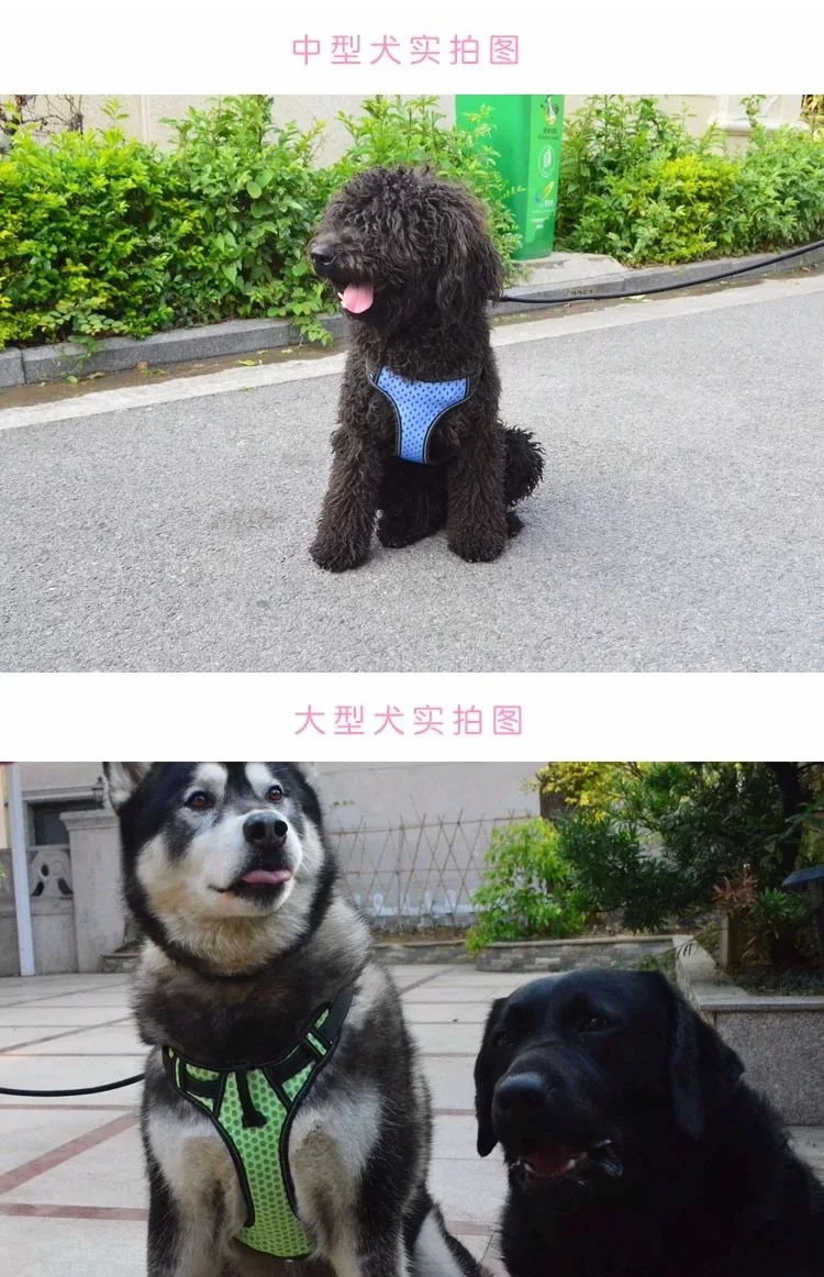 狗狗牵引带胸带中号大型犬de幼犬反光背心式鬣狗绳大型犬项圈 Buy 胸带 狗的胸带 宠物胸带product On