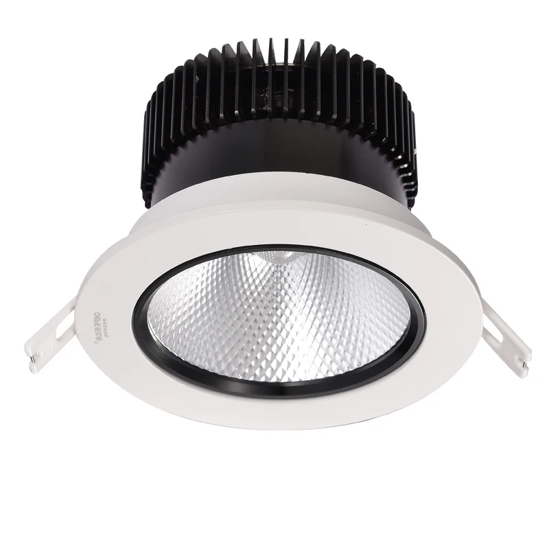 Australian standard zigbee led downlight 0-10v 12v 24v 240v cct adjustable downlight color temperature downlight wifi control