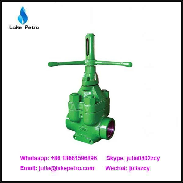 China Price API 6A Mud Gate Valve