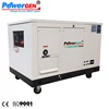 Clean Energy!!! POWERGEN Water Cooled Silent NG Natural Gas/LPG Liquid Propane Generator 15KW