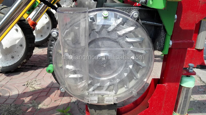 spoon wheel seed 