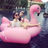 OXGIFT Ibiza Travel Shop Recommended Products,Flamingo Floating Row