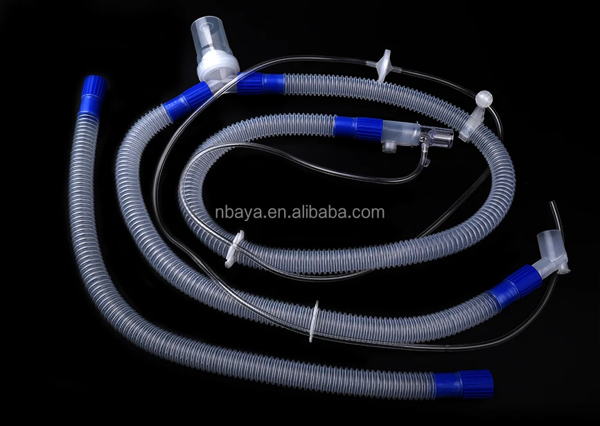BC1A6146-