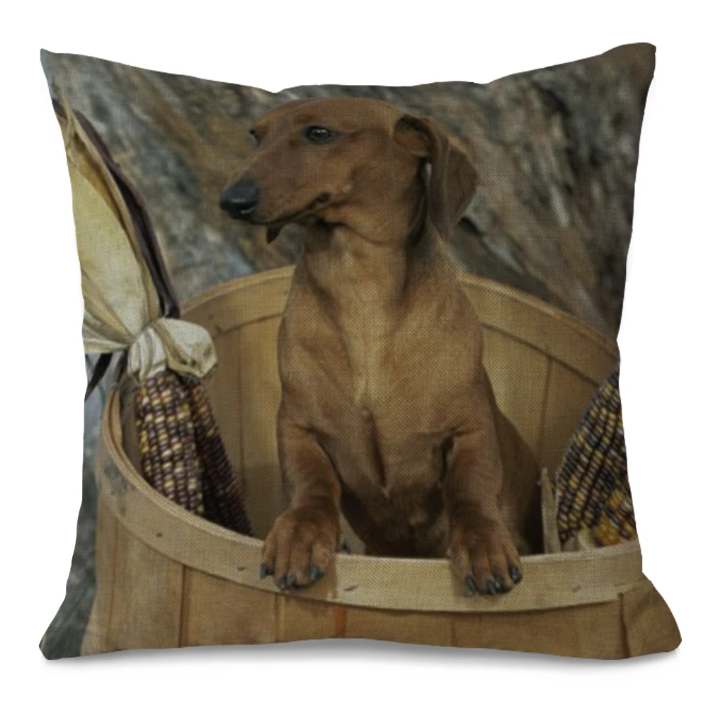 Zippered Cute Throw Pillows Cheap Custom Outdoor Cushion Covers
