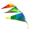 Custom Full Colour Bunting,Charming Pennant,Hanging Decoration Bunting Flags
