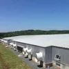 Poultry House Cooling System : Exhaust Fan / Cooling Pad / Air Cool ( OFS)