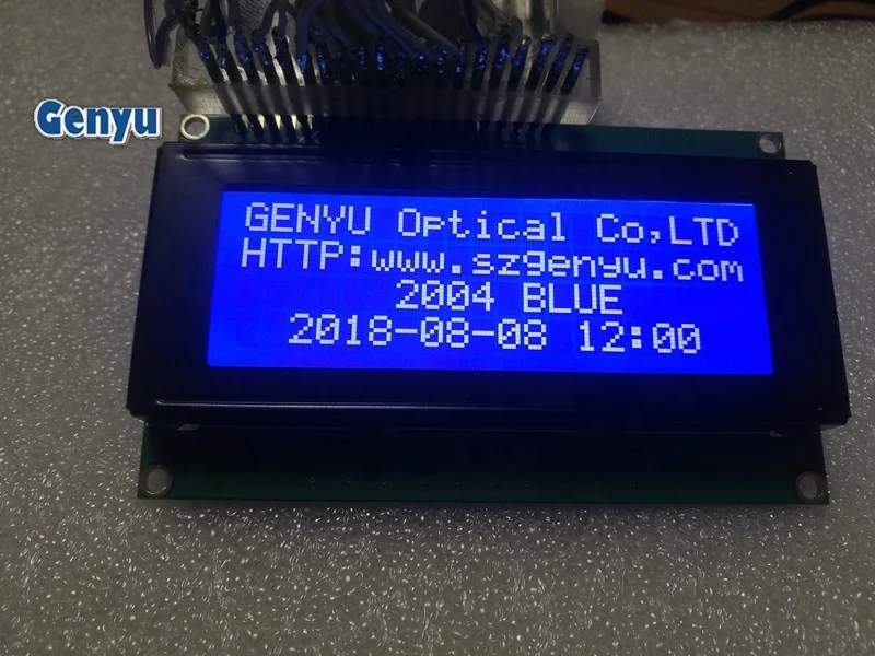 Ganyu stn v 1.3. LCM-20.