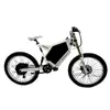 2000W Fat Tire 2000 Watt Cycle E Bike Electric Bicycle with Kit Conversion