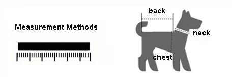 3493999367_299449477 .jpg