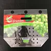 Clear printed custom high quality resealable small coin poly food storage freezer plastic zip bag packaging for food