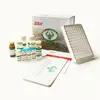 Human TRPV1/ Transient receptor potential cation channel subfamily V member 1 ELISA Kit