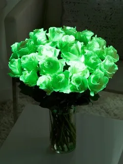 Glow-in-the-Dark-Roses2-250x333