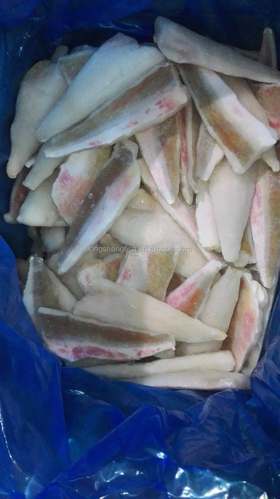 热销2021 Iqf冷冻红古纳鱼片100-150gg John Dory Fillet中国产地- Buy