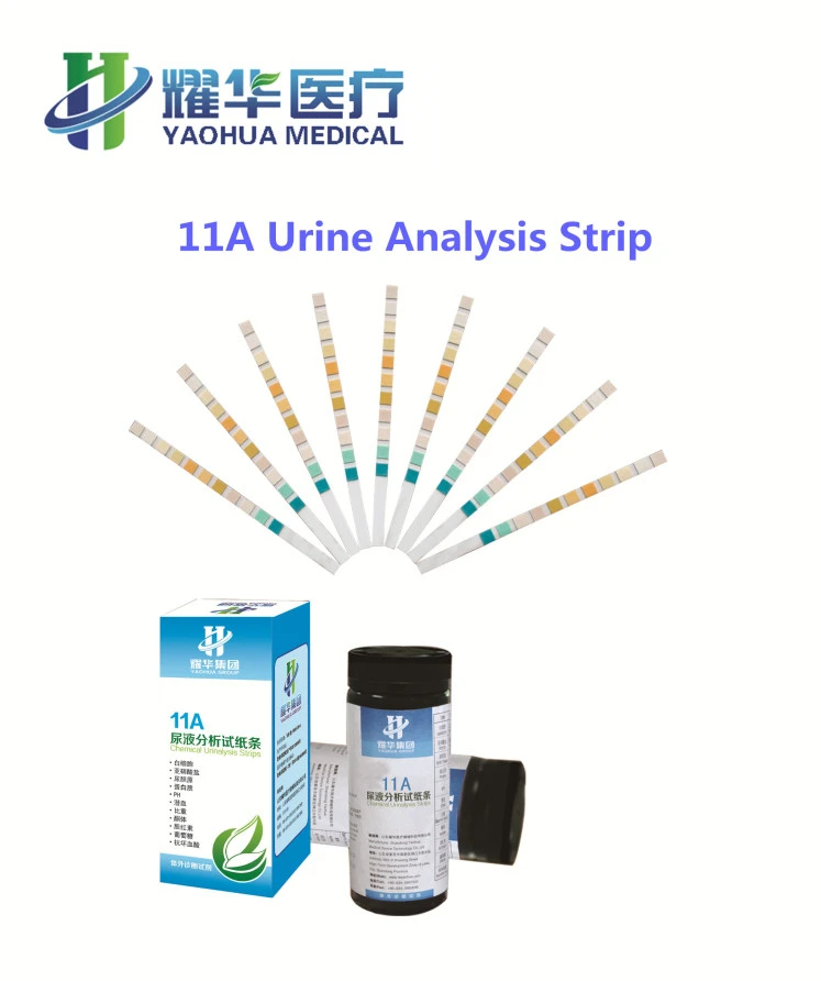 11a urine analysis strip.jpg