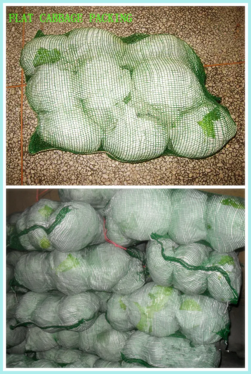 flat cabbage 20161027