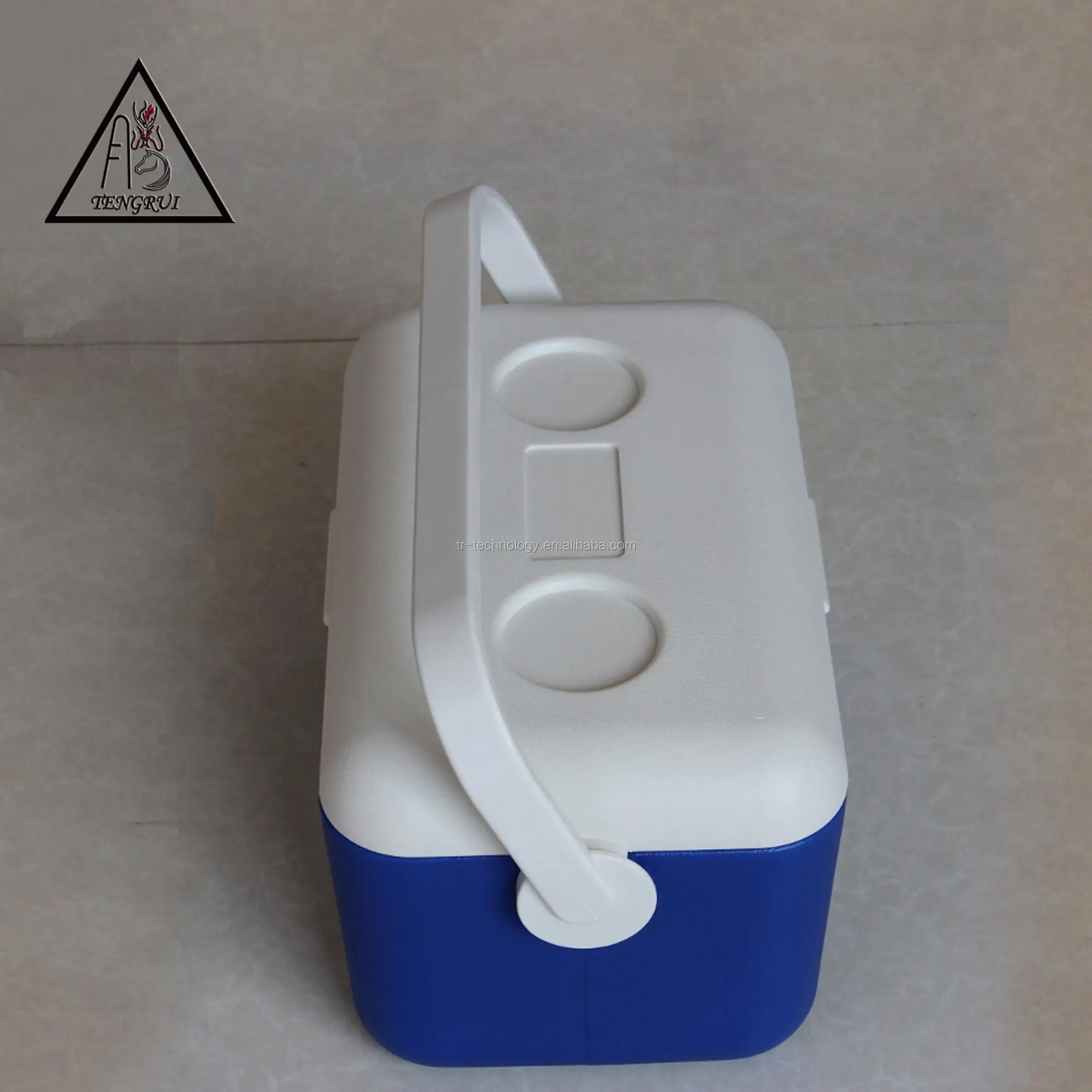 Portable 9l Insulated Thermal Cooler Box With Handle And Removable Lid