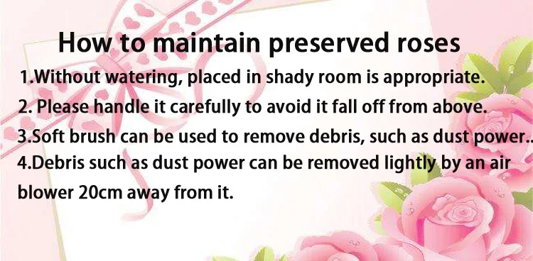 preserved flower.jpg