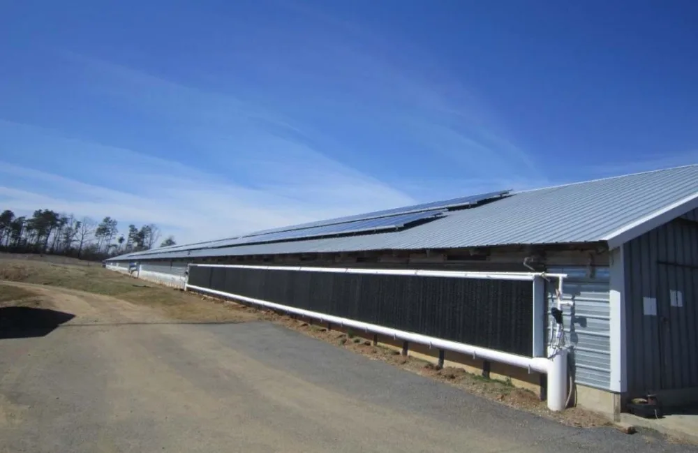 Used Steel Egg Chicken House Design Trusses For Layers - Buy Egg