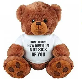 teddy bear for her