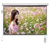 300inch Large motorized theater projection screen for video projector