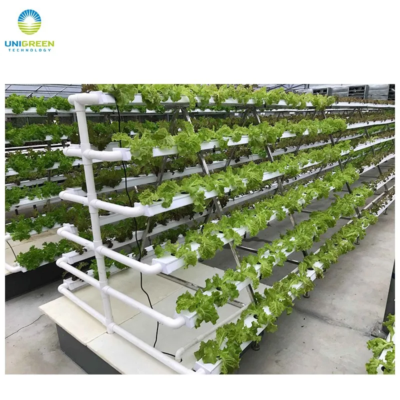 Atype Pvc Nft Gully Channel Hydroponic Growing System For Vegetable
