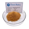 Reishi mushroom extract ganoderma lucidum mycelium powder