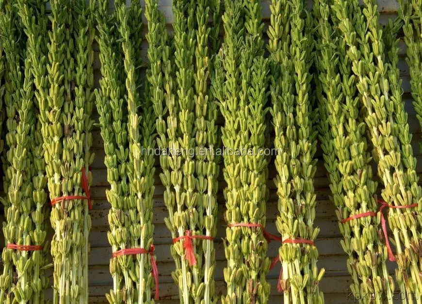 home used mobile paddy rice thresher, view rice thresher, daheng