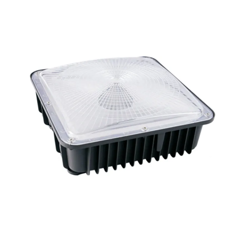 LED Canopy Light 1.jpg
