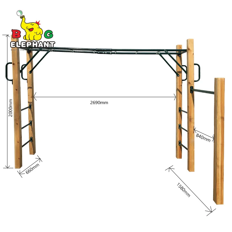 monkey bars climbing frame