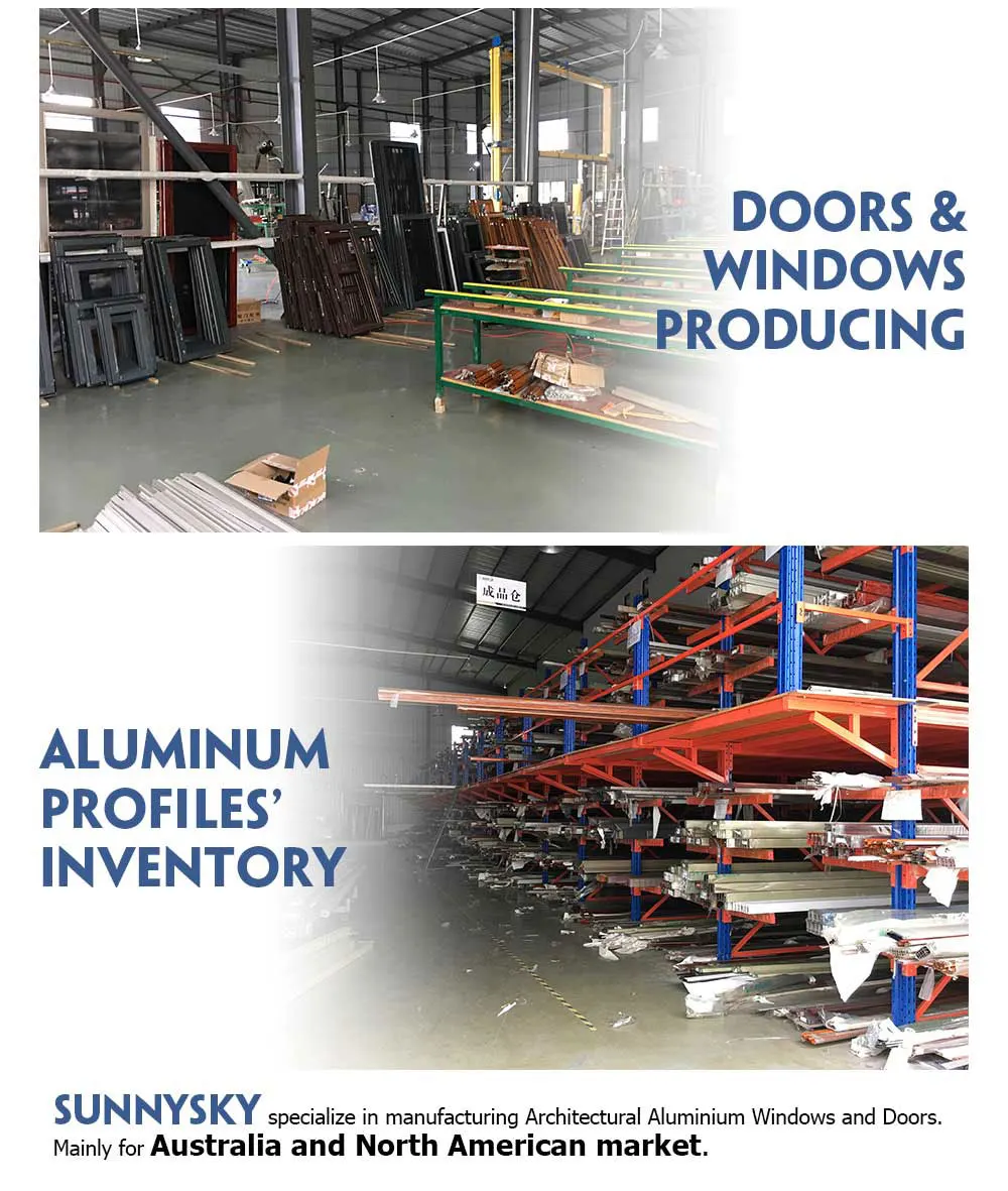 Thermal break American & Australia high quality modern Aluminum Low-E glass Pivot door for store