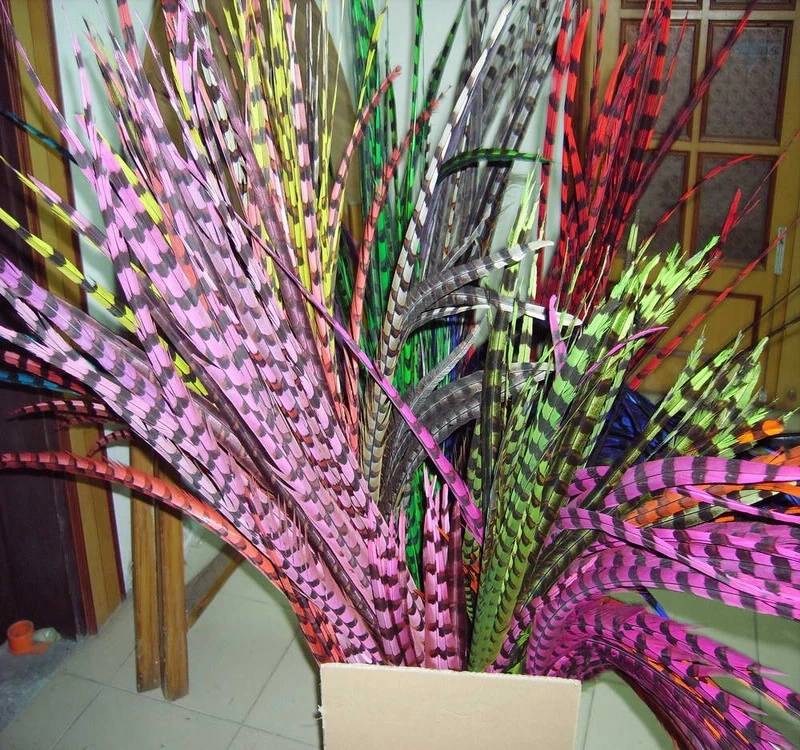 Reeves pheasant1.JPG