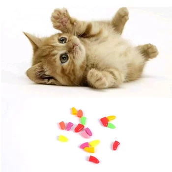 カラフルな猫の爪のキャップ ペット犬ネイルキャップ Buy 猫の爪のキャップ 犬ネイルキャップ ペットネイル Product On Alibaba Com