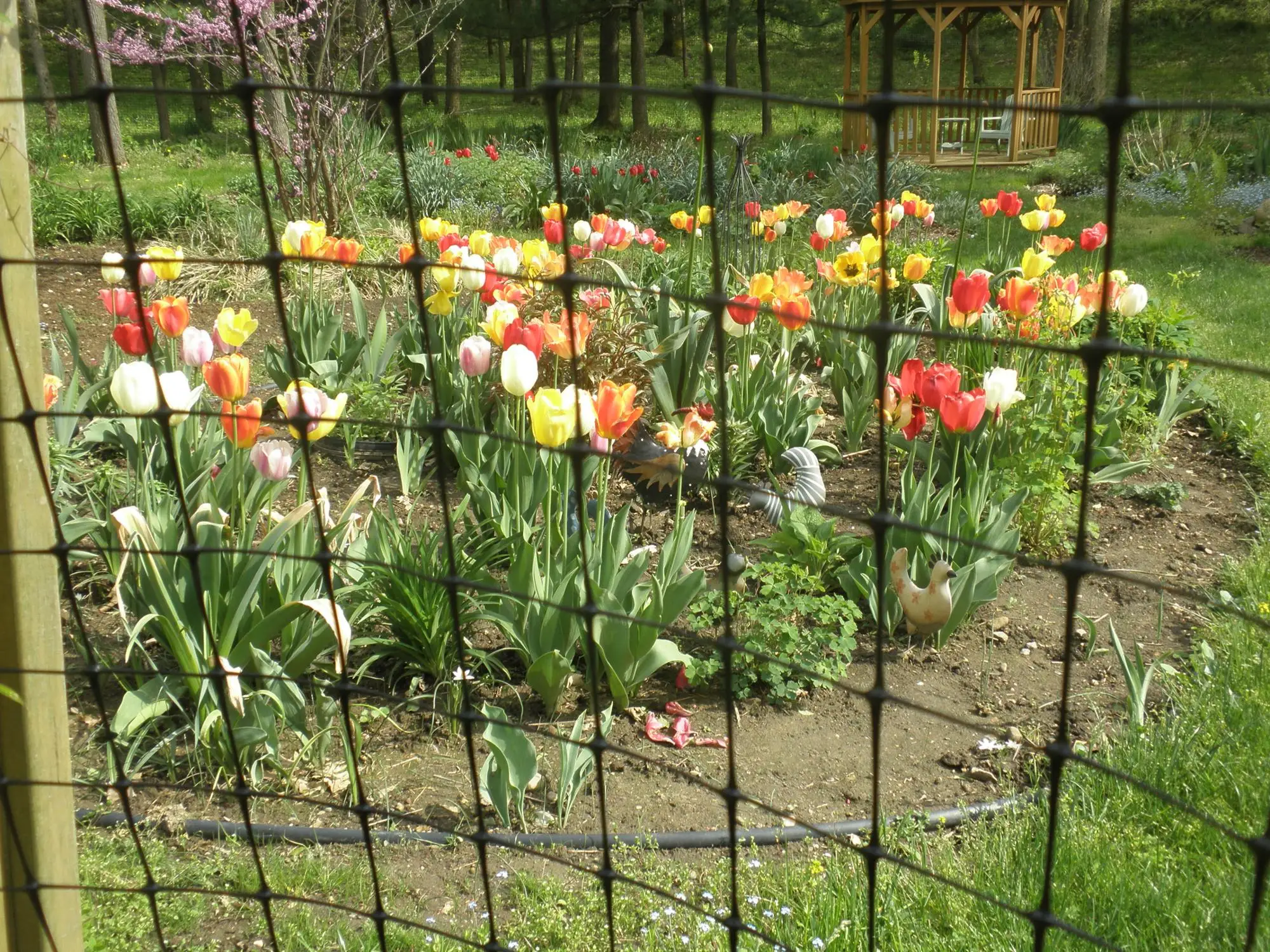 Plastic Deer Fence Netting 1.8mx100m Buy Plastic Deer Fence Netting 1