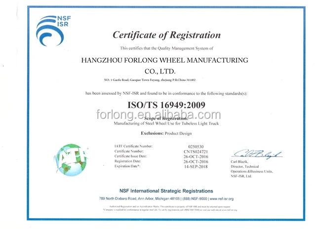 TS ISO 16949  2009