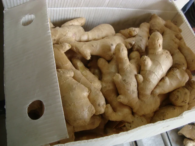 Dry Ginger (1)