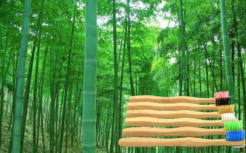 Factory Biodegradable bamboo carbon toothbrush