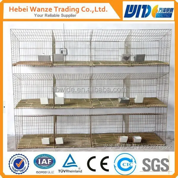 bird cage low price