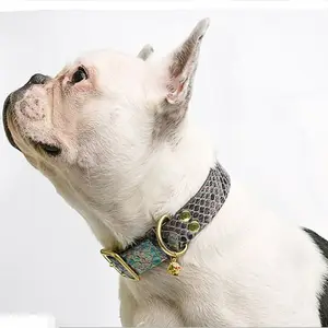 Petsmart Dog Collar Size Chart
