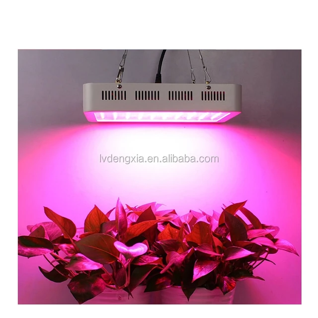 3W Alta Potencia Luz LED para Crecimiento de espectro completo Star PCB-Reino Unido Vendedor