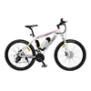 China Efficient & Functional Electric mountain Bicycle