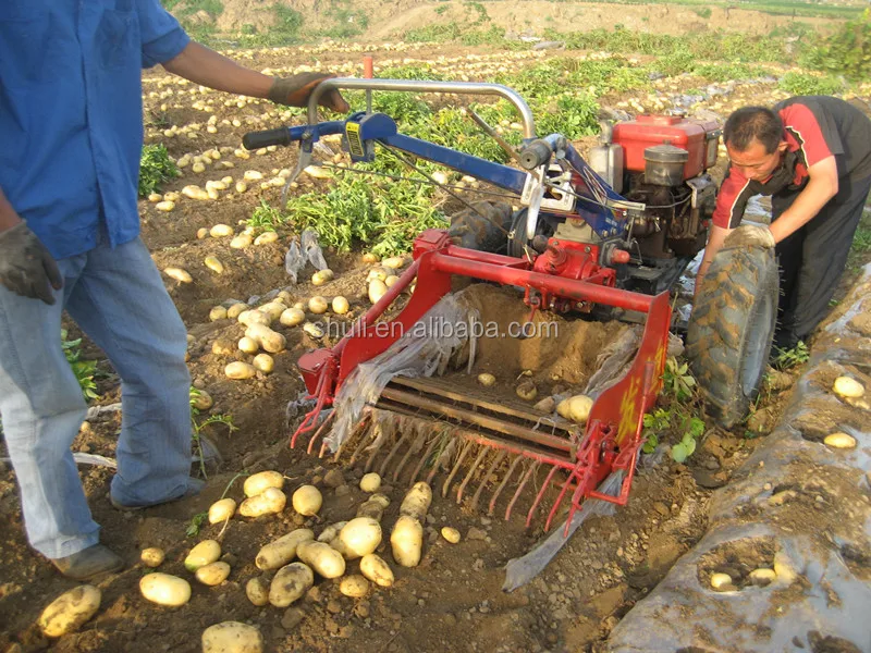 2015 With Best Quality Onion Harvesting Machine Buy Onion Harvesting