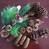 Natural pinecones for Christmas ornaments shooting props dried flowers