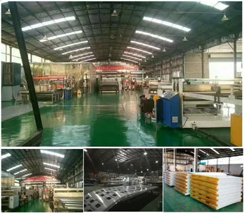 plastic sheet for windows