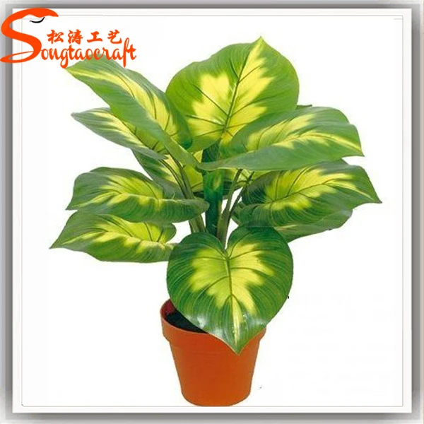 China Preco Barato Tipos De Plantas Ornamentais Perenes Plantas Artificiais Buy Evergreen Plantas Ornamentais Tipos De Plantas Ornamentais Planta Artificial Product On Alibaba Com