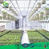 winter protect galvanized steel pipe for greenhouse frame bags green house system